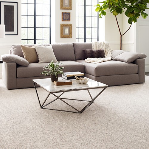 Living room comfortable carpet | Bow Family Furniture & Flooring